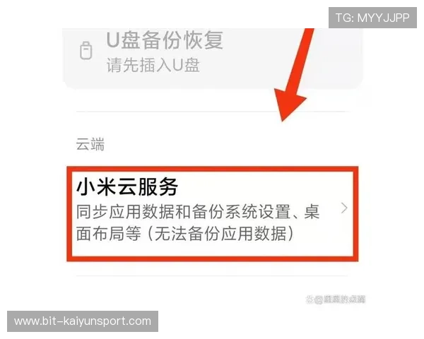 开云体育网娱乐app安全性分析，保障用户隐私与账号安全的全面措施