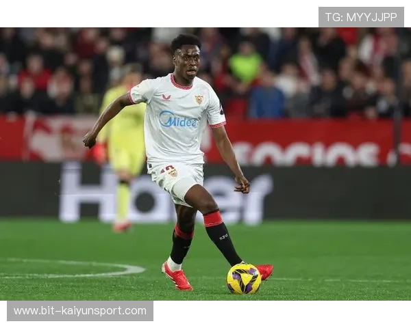 揭秘开云体育平台官网的风靡原因,为什么成为体育爱好者首选